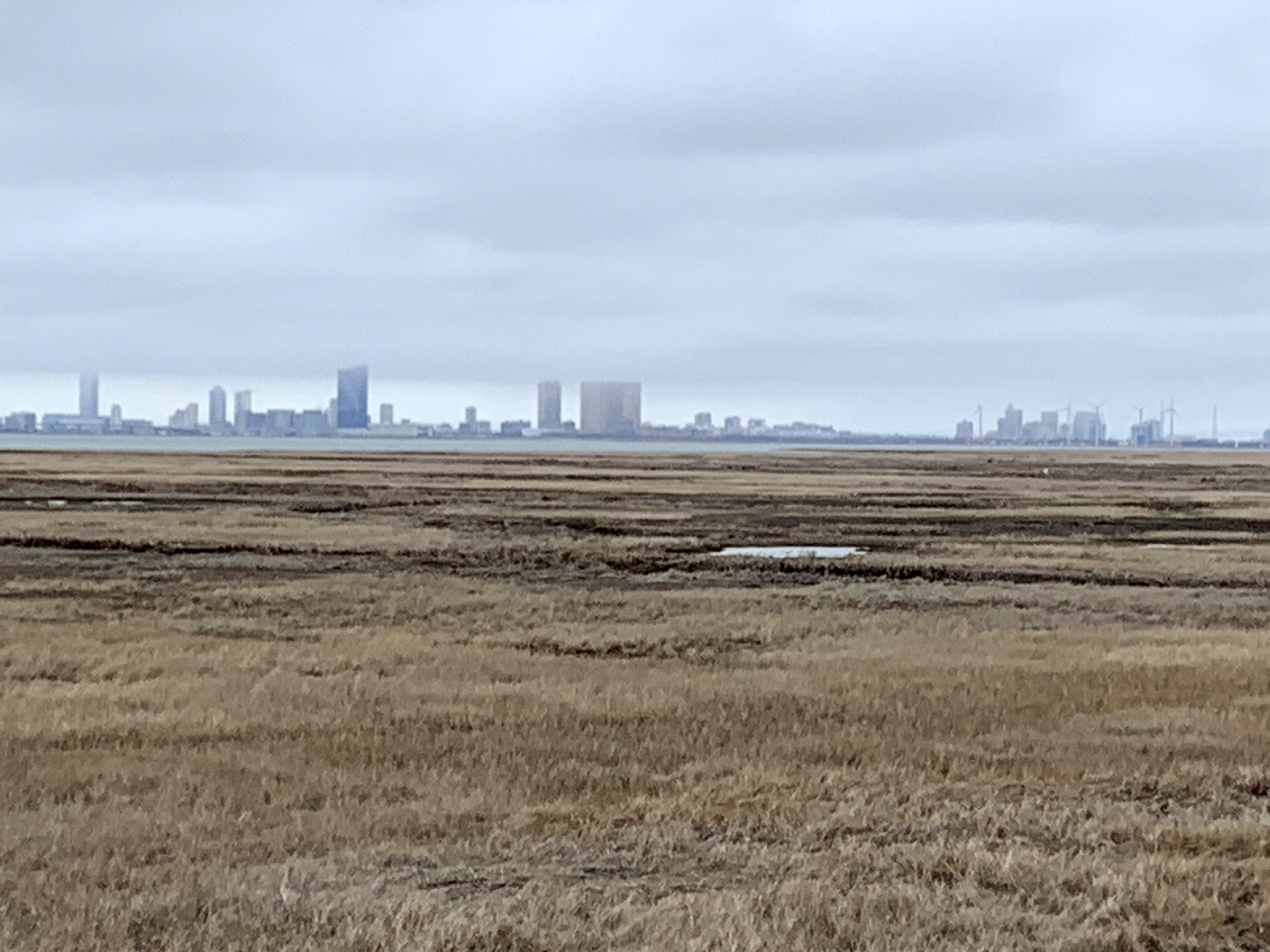 Low clouds hover over Atlantic City as seen from the Forsythe Wildlife Refuge in Galloway Township (Atlantic County) on March 6th. Photo by Dave Robinson. Low clouds hover over Atlantic City as seen from the Forsythe Wildlife Refuge in Galloway Township (Atlantic County) on March 6th. Photo by Dave Robinson.