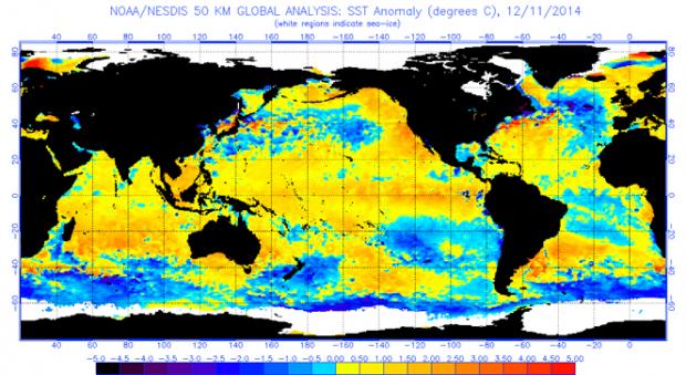 Global Sea Surface Temperature Anomalies