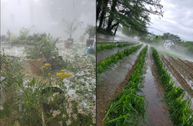 Upper Township hail on July 1st