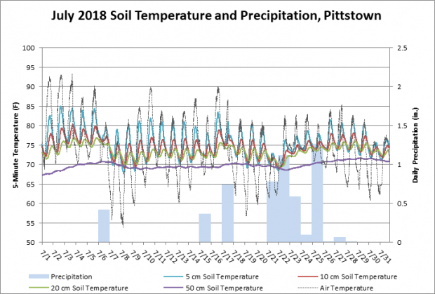 Five-minute soil temperature observations and daily precipitation totals in July 2018