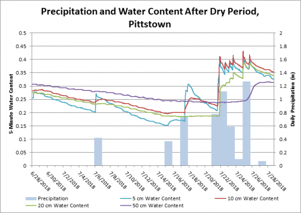 Five-minute soil water content observations and daily precipitation totals in June–July 2018
