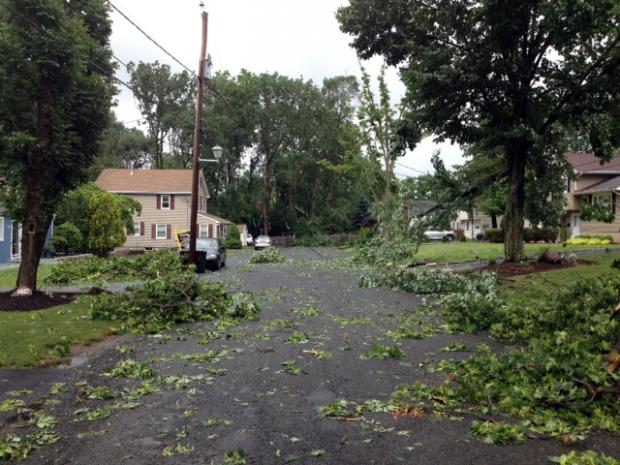 Tornado Damage in Berkeley Heights