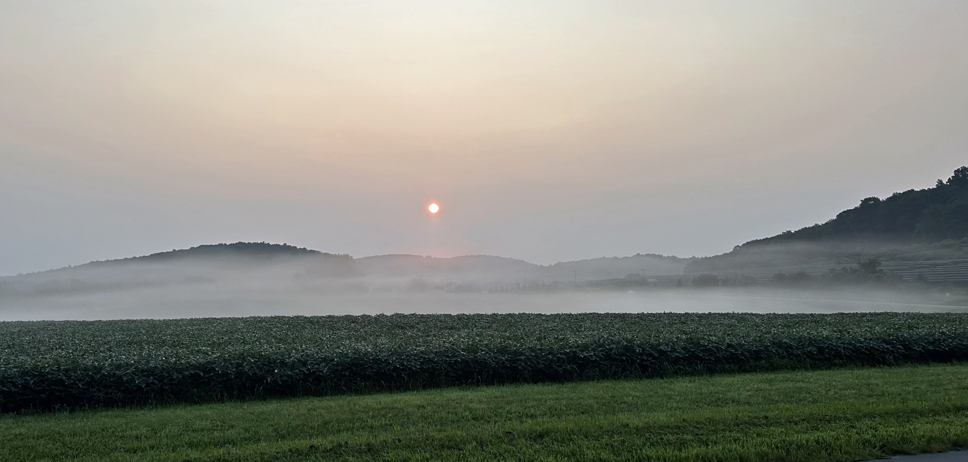 Low-lying fog blankets a farm field in Sparta Township (Sussex County) on the morning of August 16th (photo courtesy of Nick Stefano).