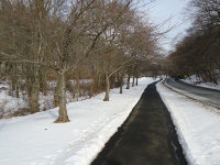 Snow in Echo Lake Park