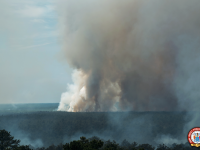 A smoke plume from the early July Tea Time Hill fire in Wharton State Forest (photo courtesy of the NJ Forest Fire Service).