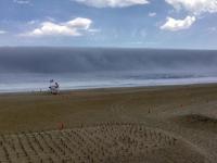 Sea fog photo