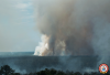 A smoke plume from the early July Tea Time Hill fire in Wharton State Forest (photo courtesy of the NJ Forest Fire Service).