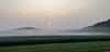 Low-lying fog blankets a farm field in Sparta Township (Sussex County) on the morning of August 16th (photo courtesy of the Nick Stefano).