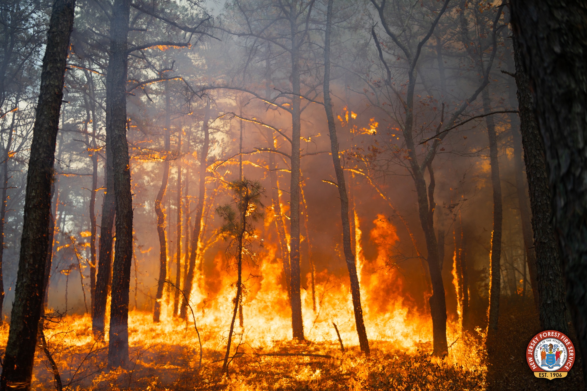 Bethany Run fire at the border of Burlington and Camden counties on November 7, 2024. It burned through 360 acres (courtesy of NJ Forest Fire Service).