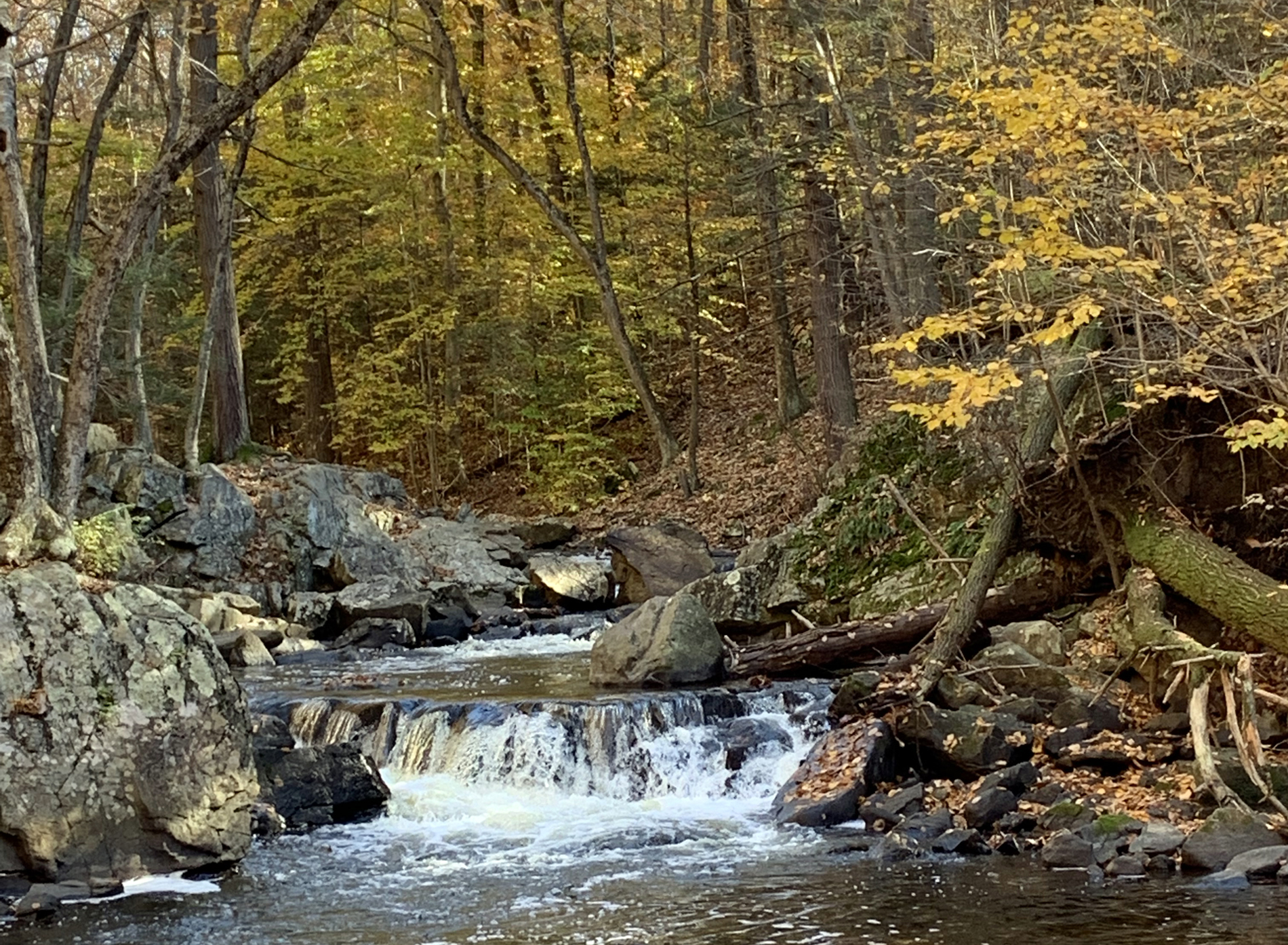 An autumnal view along the Lamington River in Hacklebarney State Park on the border of Chester Twp. and Washington Twp. (Morris County). Photo by Dave Robinson.