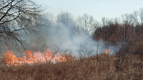 Controlled burn conducted near the Basking Ridge (Lord Sterling Park, Somerset County) Rutgers NJ Weather Network station by NJ Fire Service personnel on March 27th. Photo courtesy of Stephen Federico/Somerset County Park Commission.