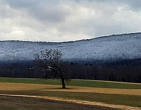 The pronounced snowline (at about 1000 feet elevation) near the base of Sunrise Mountain as seen from Rt 519 in the Beemerville section of Wantage (Sussex County) at 4:25 PM on January 23rd. Photo courtesy of Karen Walsh.