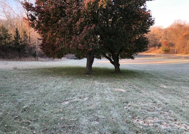 Frost photo