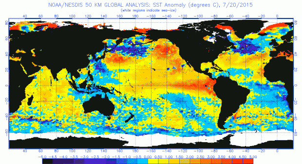 Sea Surface Temperature (SST) anomalies for July 20, 2015.  NOAA/NESDIS.