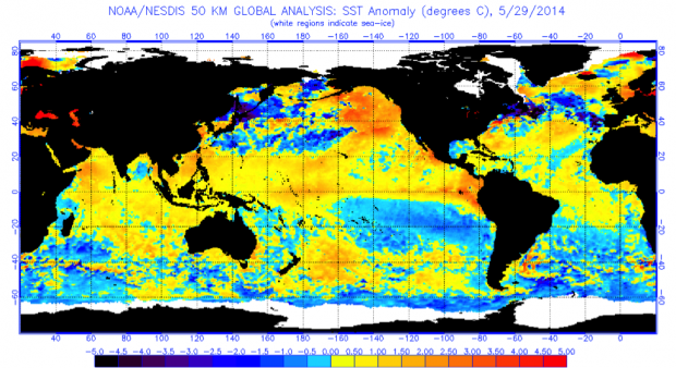 Sea Surface Temperature (SST) anomalies for May 29, 2014.  NOAA/NESDIS.