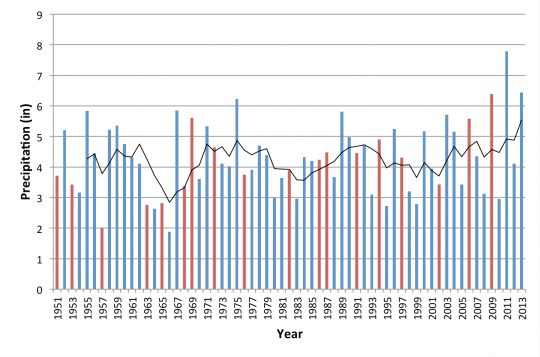 Time series of New Jersey total summer precipitation from 1951-2013.  Red bars indicates years with an El Niño event.  Black line indicates 5-year moving average.